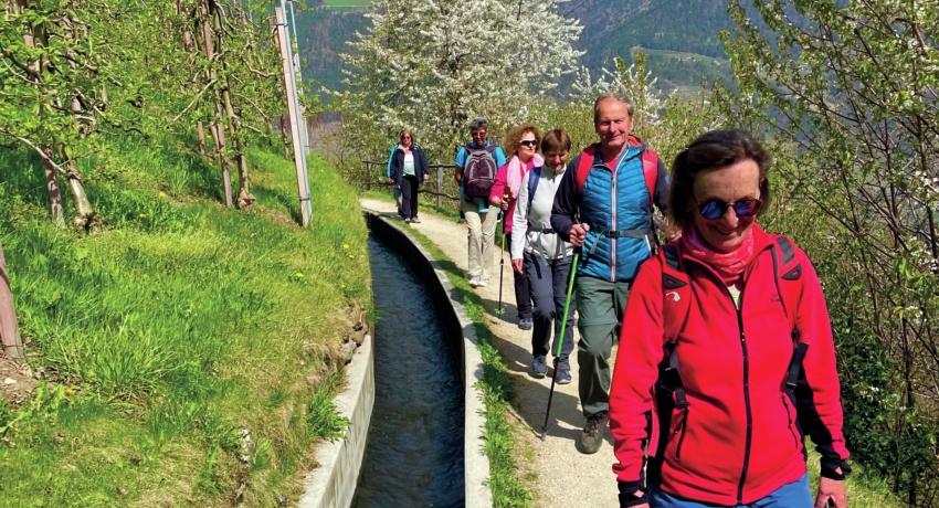 Marlinger Waalweg - Weinbergwandern in Südtirol